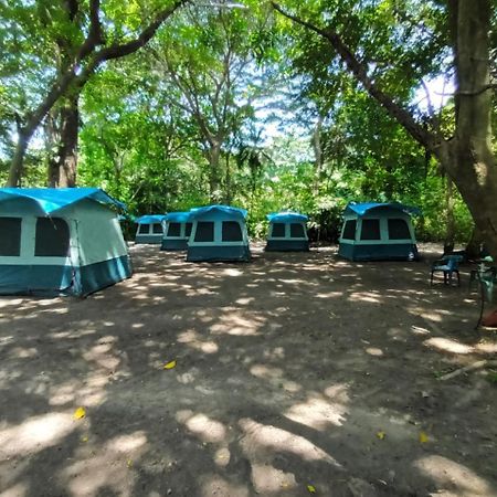 Happy Camping Arrecifes Dentro Del Parque Nacional Natural Tayrona El Coquito Exteriör bild