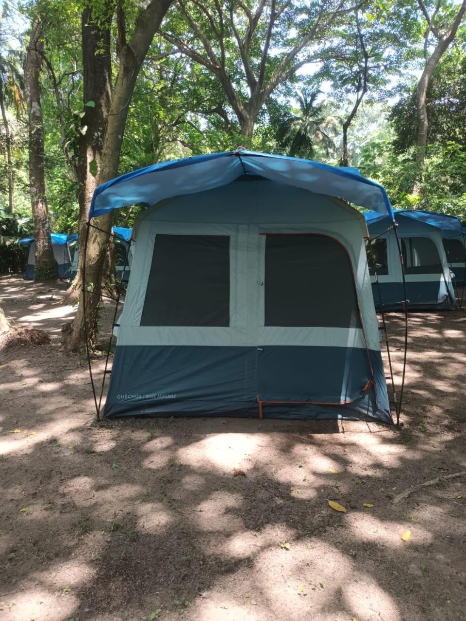 Happy Camping Arrecifes Dentro Del Parque Nacional Natural Tayrona El Coquito Exteriör bild