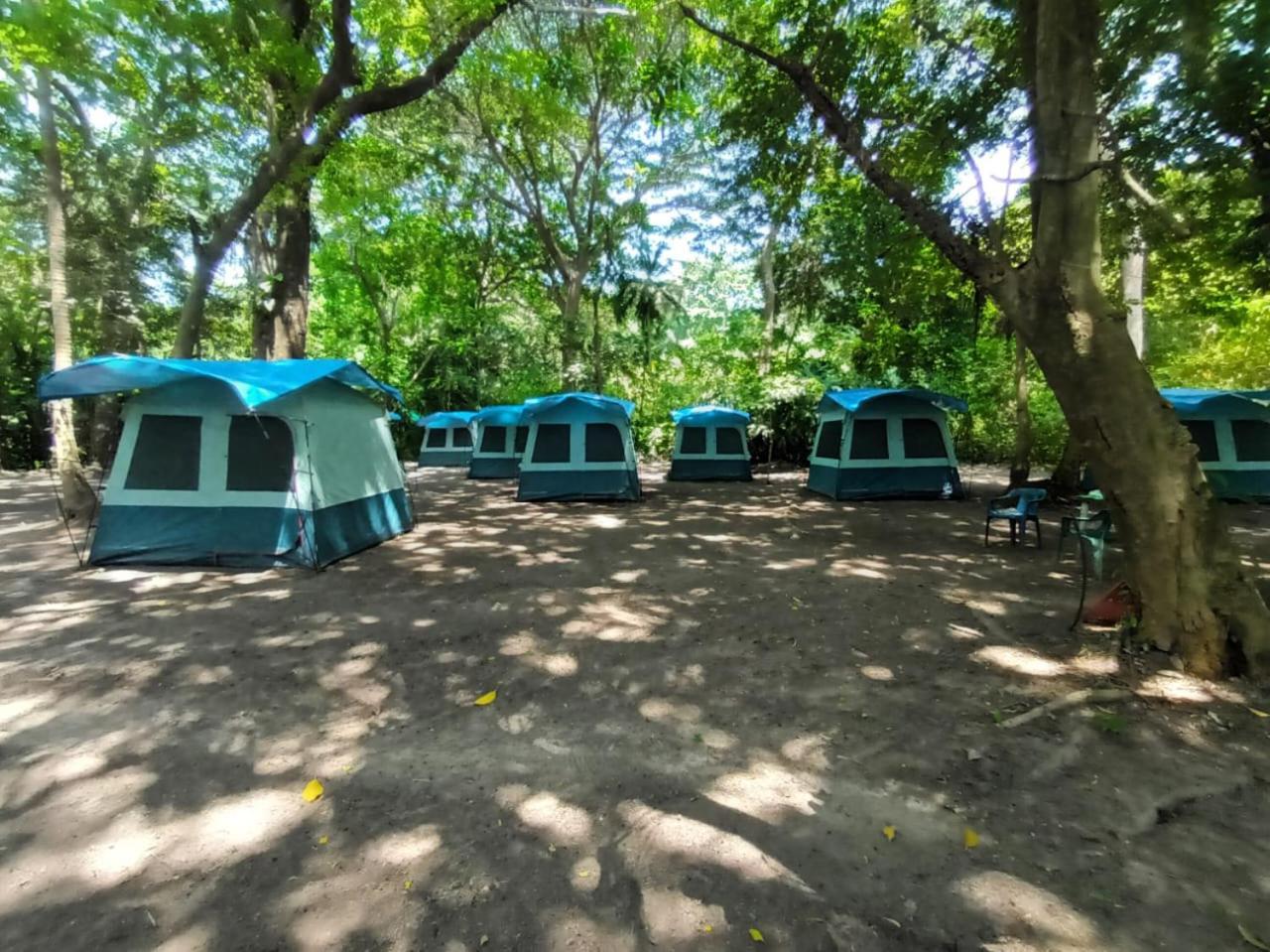Happy Camping Arrecifes Dentro Del Parque Nacional Natural Tayrona El Coquito Exteriör bild